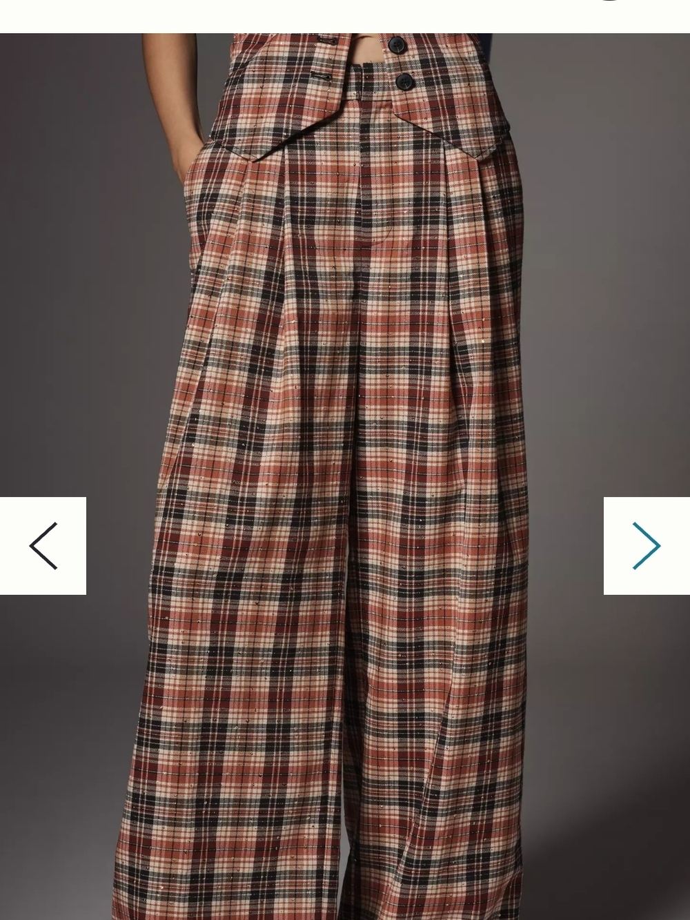 The Avery Sparkle Pleated Wide-Leg Trousers by Maeve